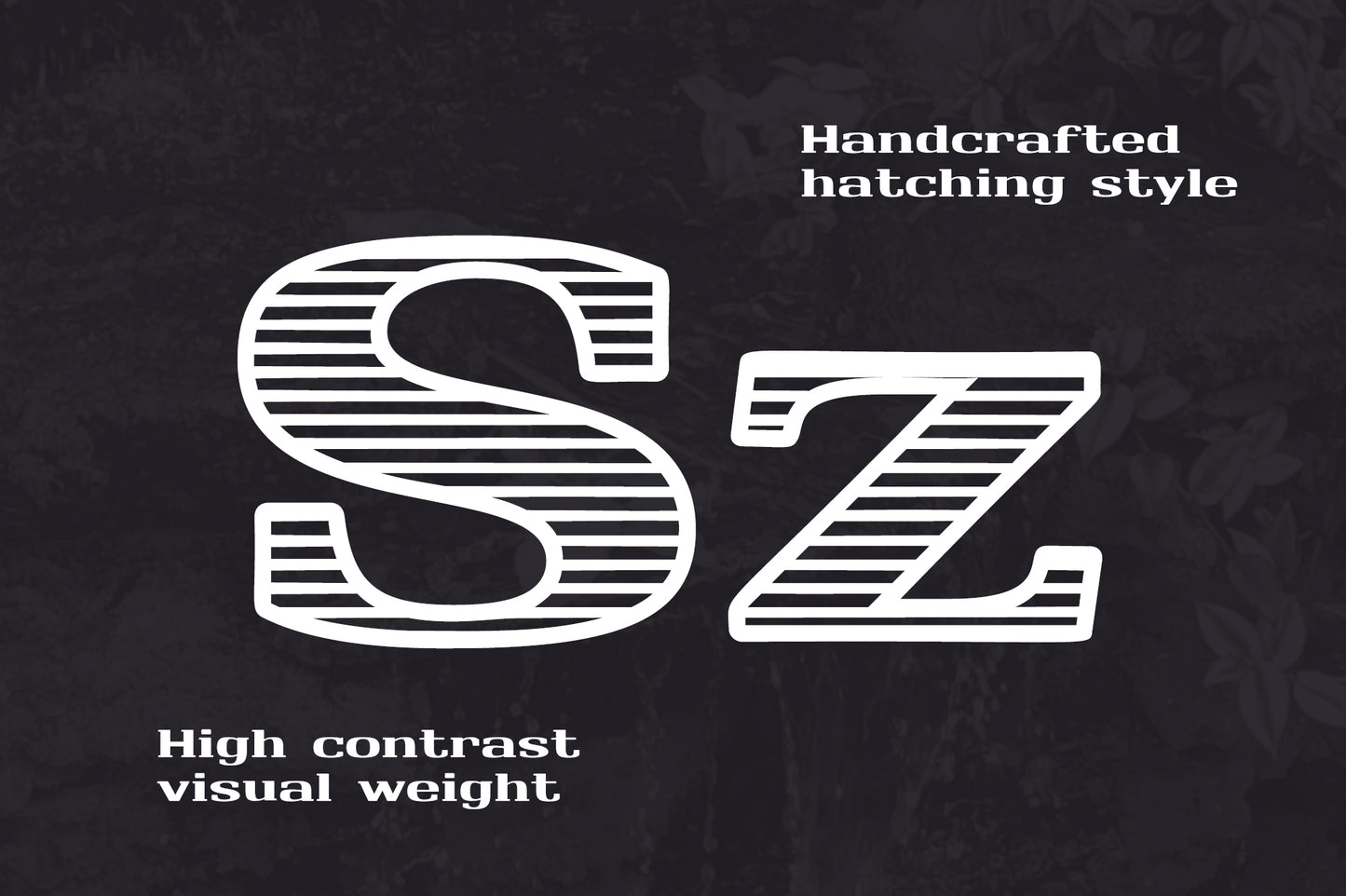 Monarch North Line Hatch Serif