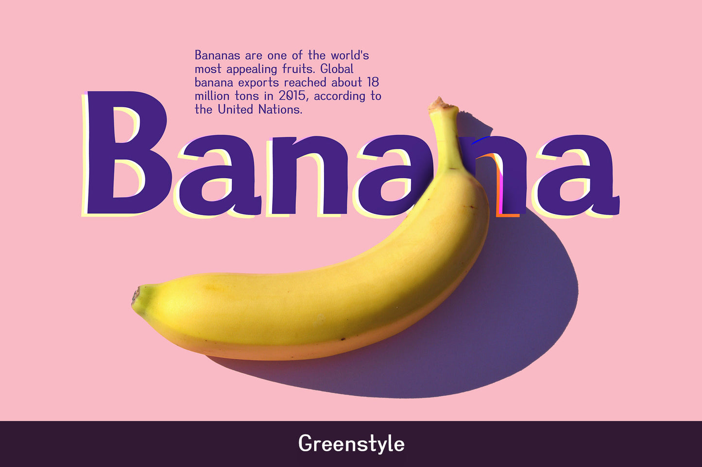 Tropical Island Vibes Font Bundle
