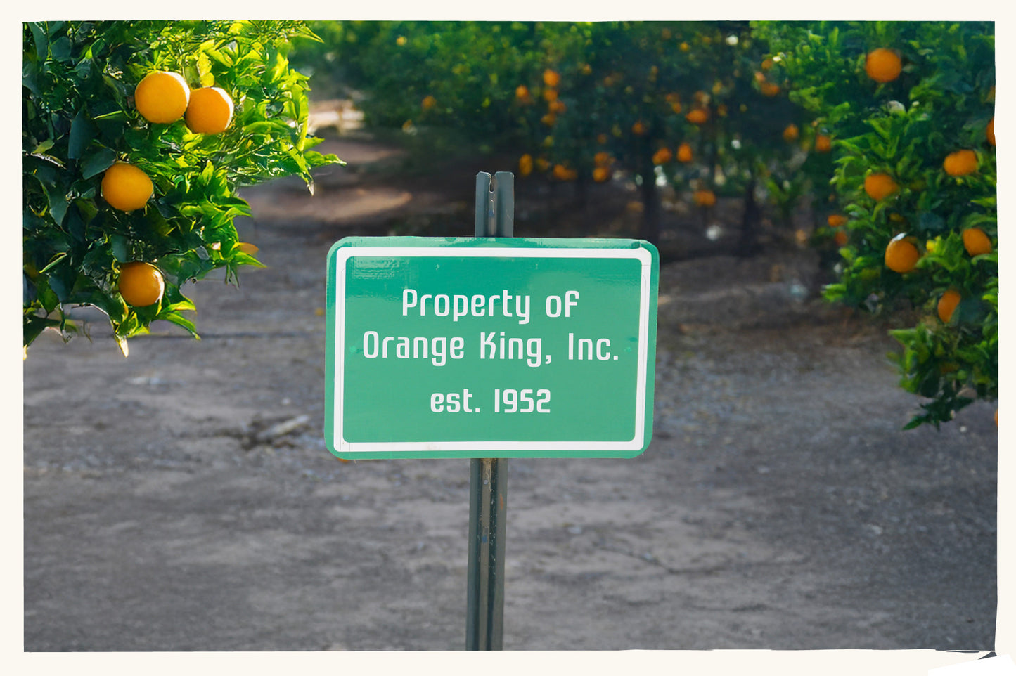 Grove 52 - Retro Agriculture Font