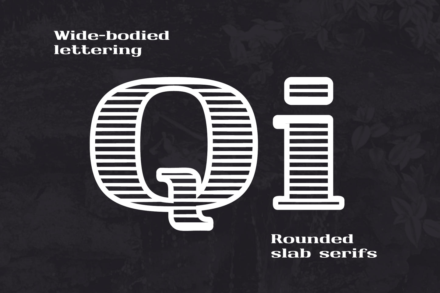 Monarch North Line Hatch Serif